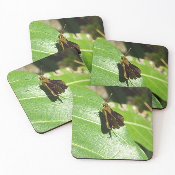 Item preview, Skipper Butterfly on a Leaf in Sapang Balas, Dinalupihan, Philippines designed and sold by The Botanical Jason.