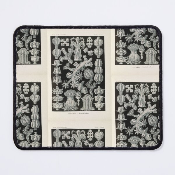 Item preview, Gorgonida.  Rindenkorallen (1904) Ernst Haeckel designed and sold by TeeARTHY.