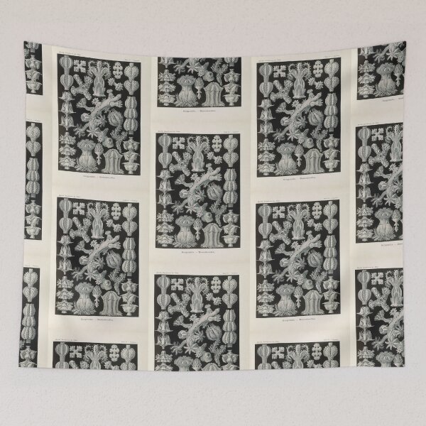 Item preview, Gorgonida.  Rindenkorallen (1904) Ernst Haeckel designed and sold by TeeARTHY.