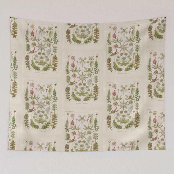 Item preview,  Hepaticae  Lebermoose   Ernst Haeckel designed and sold by TeeARTHY.