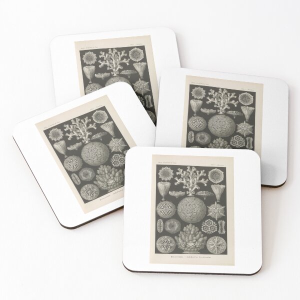 Item preview, Hexacoralla Sechsstrahlige Sternkorallen  Ernst Haeckel designed and sold by TeeARTHY.