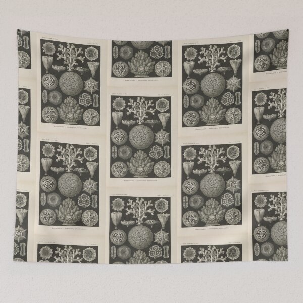 Item preview, Hexacoralla Sechsstrahlige Sternkorallen  Ernst Haeckel designed and sold by TeeARTHY.