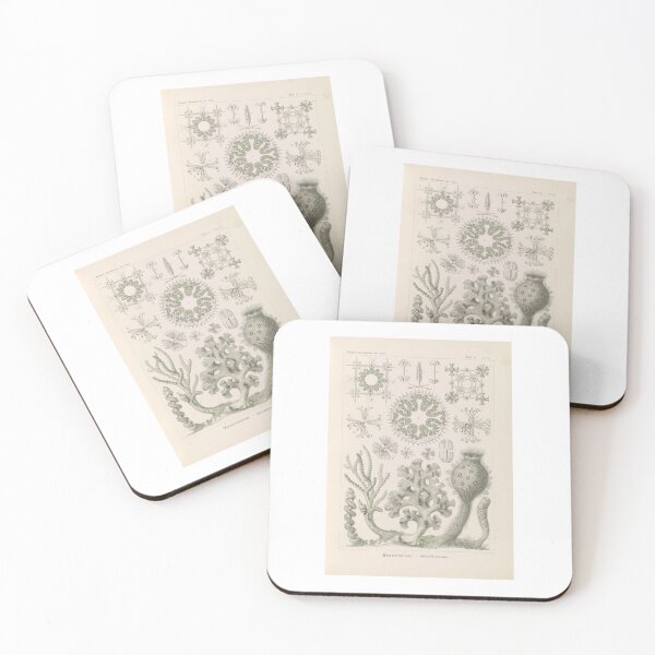 Item preview, Hexactinellae. – Glasschwämme Ernst Haeckel designed and sold by TeeARTHY.