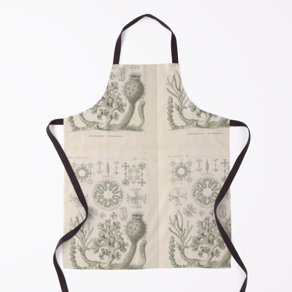 Item preview, Hexactinellae. – Glasschwämme Ernst Haeckel designed and sold by TeeARTHY.