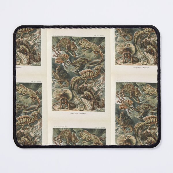 Item preview, Lacertilia Eidechlen   Ernst Haeckel designed and sold by TeeARTHY.