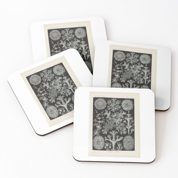 Item preview, Lichenes Flechten  Ernst Haeckel designed and sold by TeeARTHY.