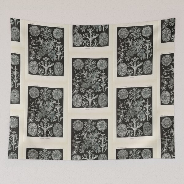 Item preview, Lichenes Flechten  Ernst Haeckel designed and sold by TeeARTHY.