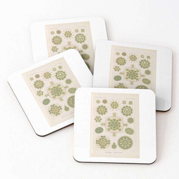 Item preview, Melethallia Gesellige Algetten  Ernst Haeckel designed and sold by TeeARTHY.