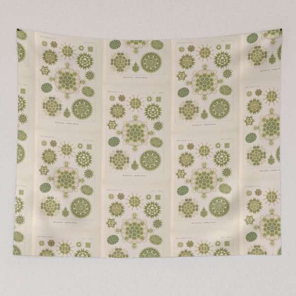 Item preview, Melethallia Gesellige Algetten  Ernst Haeckel designed and sold by TeeARTHY.