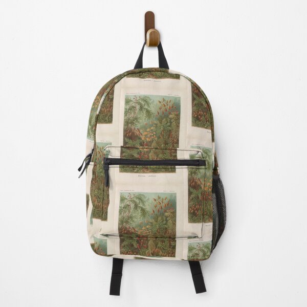 Item preview, Muscinae Laubmoose Ernst Haeckel designed and sold by TeeARTHY.