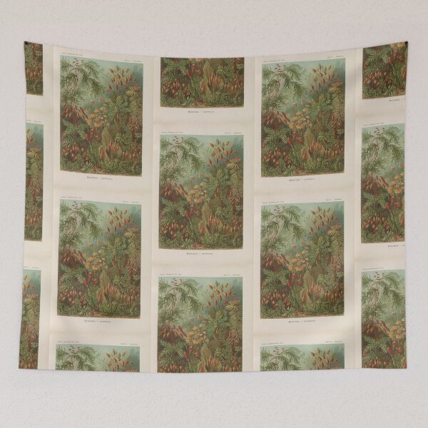 Item preview,   Muscinae  Laubmoose  Ernst Haeckel designed and sold by TeeARTHY.