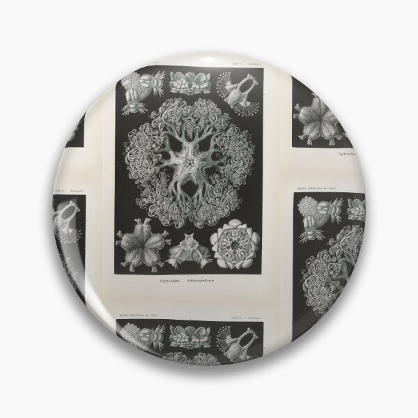 Item preview, Ophiodea Schlangensterne Ernst Haeckel designed and sold by TeeARTHY.