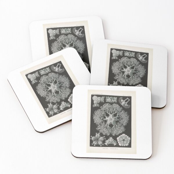 Item preview, Ophiodea Schlangensterne Ernst Haeckel designed and sold by TeeARTHY.