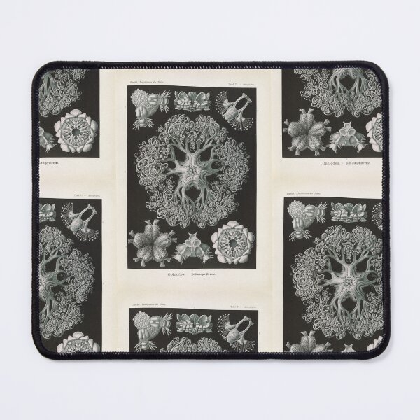 Item preview, Ophiodea Schlangensterne Ernst Haeckel designed and sold by TeeARTHY.