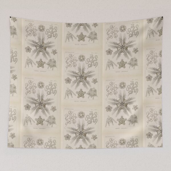 Item preview, Ophiodea. Schlangensterne.  Ernst Haeckel designed and sold by TeeARTHY.
