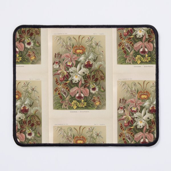 Item preview, Orchideae Denusblumen   Ernst Haeckel designed and sold by TeeARTHY.