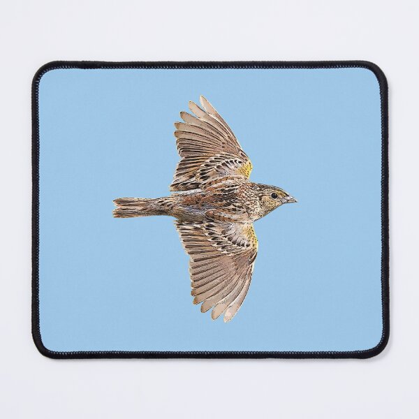 Item preview, Grasshopper Sparrow Color Design designed and sold by designsasstultd.