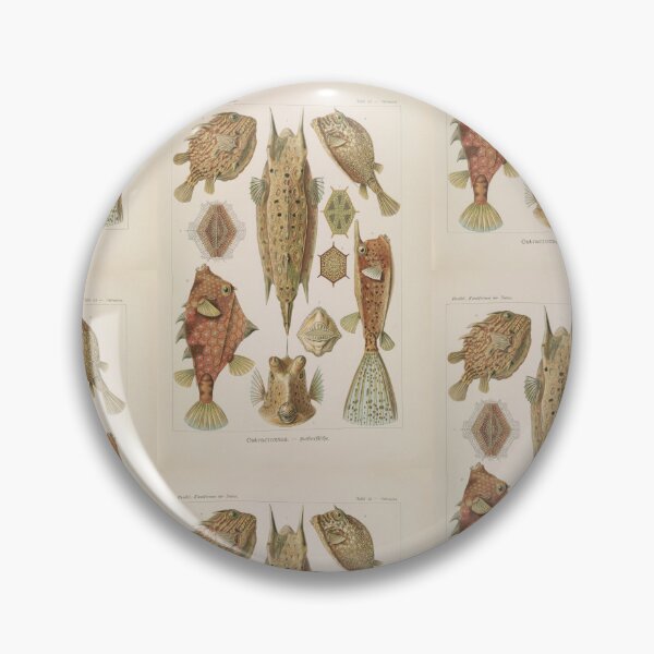 Item preview, Ostraciontes Kofferfische  Ernst Haeckel designed and sold by TeeARTHY.