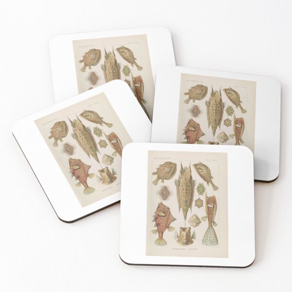 Item preview, Ostraciontes Kofferfische  Ernst Haeckel designed and sold by TeeARTHY.