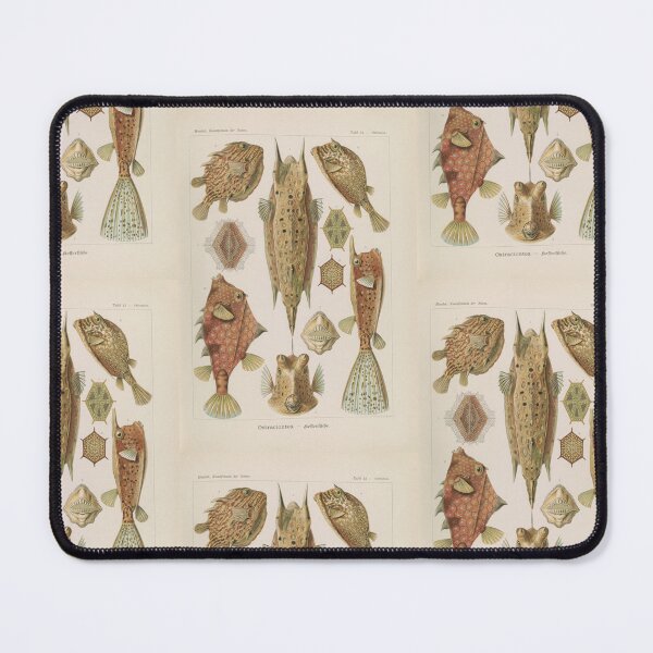 Item preview, Ostraciontes Kofferfische  Ernst Haeckel designed and sold by TeeARTHY.