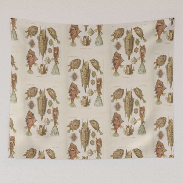 Item preview, Ostraciontes Kofferfische  Ernst Haeckel designed and sold by TeeARTHY.