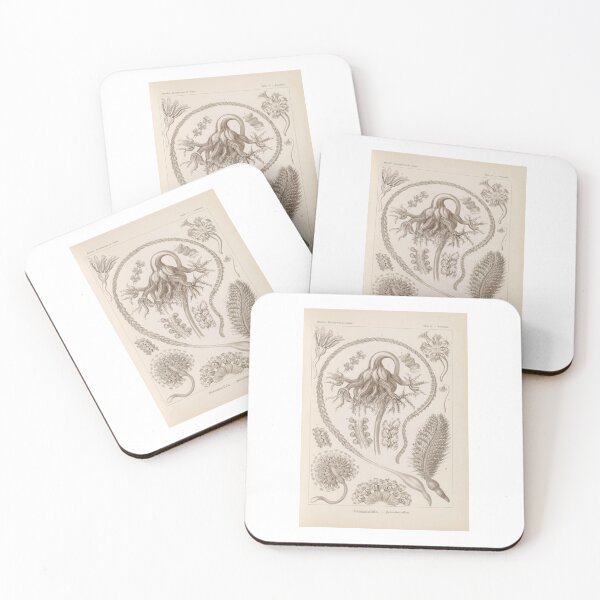 Item preview, Pennatulida Federkorallen Ernst Haeckel designed and sold by TeeARTHY.