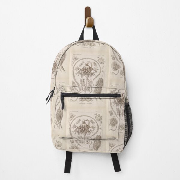 Item preview, Pennatulida Federkorallen Ernst Haeckel designed and sold by TeeARTHY.