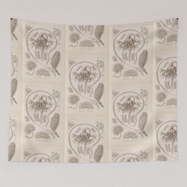 Item preview, Pennatulida Federkorallen Ernst Haeckel designed and sold by TeeARTHY.