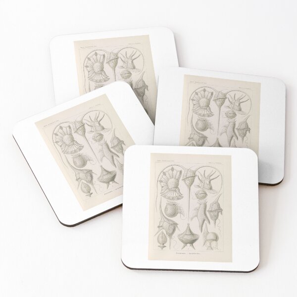 Item preview, Peridinea Geikelhütchen  Ernst Haeckel designed and sold by TeeARTHY.