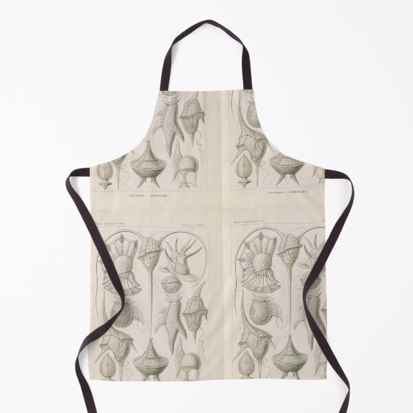 Item preview, Peridinea Geikelhütchen Ernst Haeckel designed and sold by TeeARTHY.