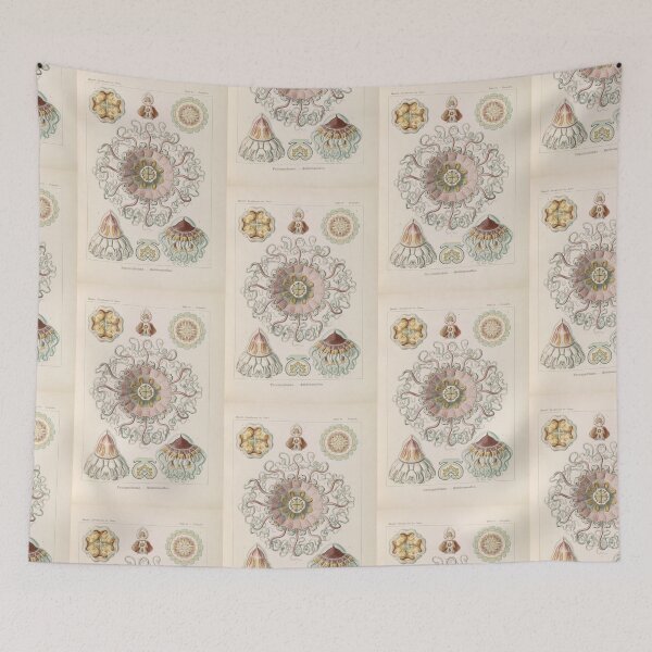 Item preview, Peromedusae Talchenquallen Ernst Haeckel designed and sold by TeeARTHY.