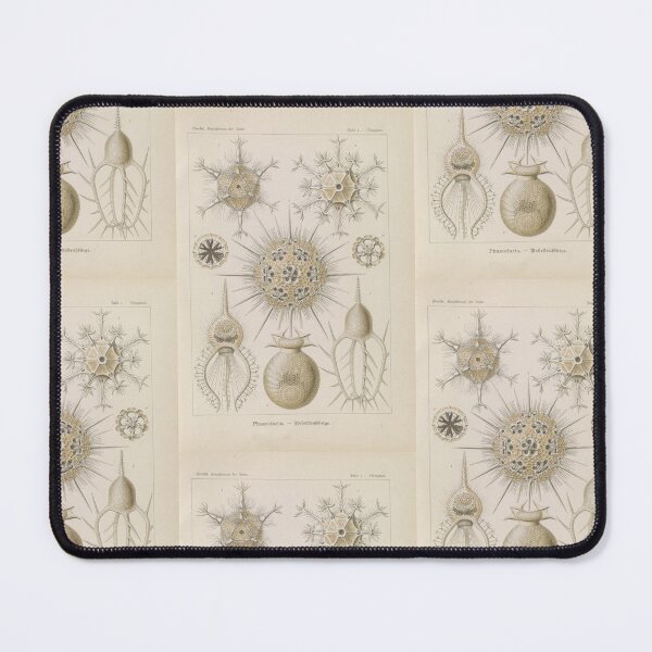 Item preview, Phaeodaria Rohrstrahlinge Ernst Haeckel designed and sold by TeeARTHY.