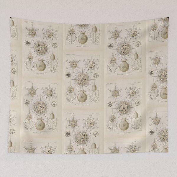 Item preview, Phaeodaria Rohrstrahlinge Ernst Haeckel designed and sold by TeeARTHY.