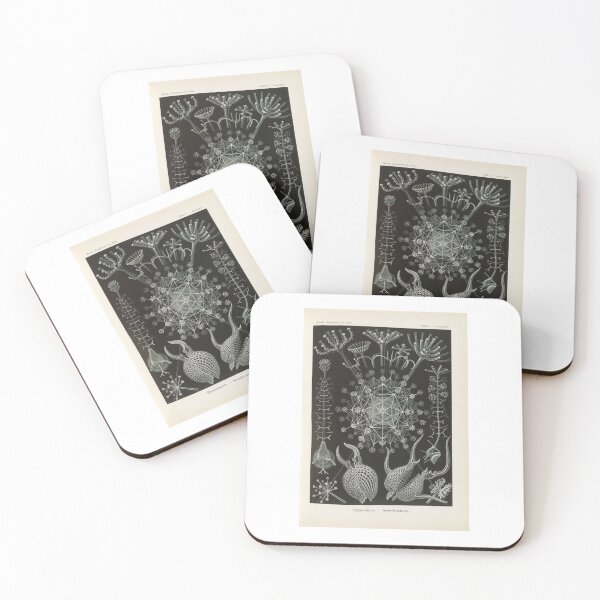 Item preview, Phaeodaria  Rohrstrahlinge  Ernst Haeckel designed and sold by TeeARTHY.