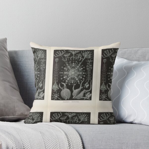 Item preview, Phaeodaria  Rohrstrahlinge  Ernst Haeckel designed and sold by TeeARTHY.