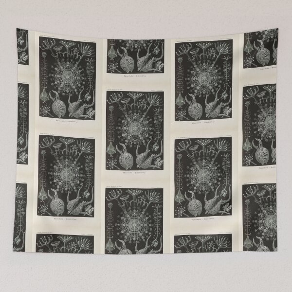 Item preview, Phaeodaria  Rohrstrahlinge  Ernst Haeckel designed and sold by TeeARTHY.