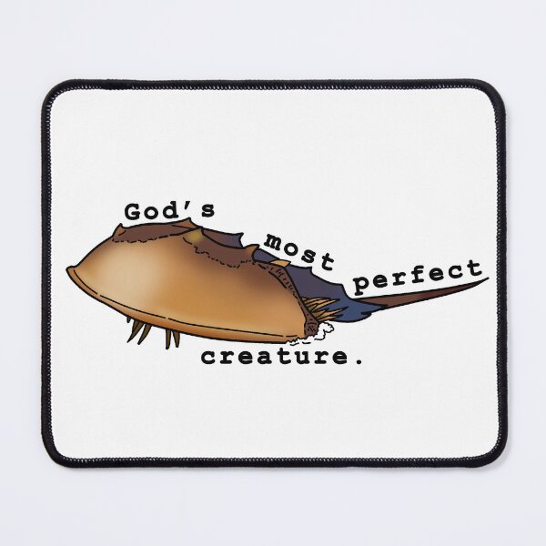 Item preview, Horseshoe Crab Sticker designed and sold by WitchyPineapple.