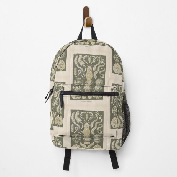 Item preview, Platodes Plattentiere Ernst Haeckel designed and sold by TeeARTHY.