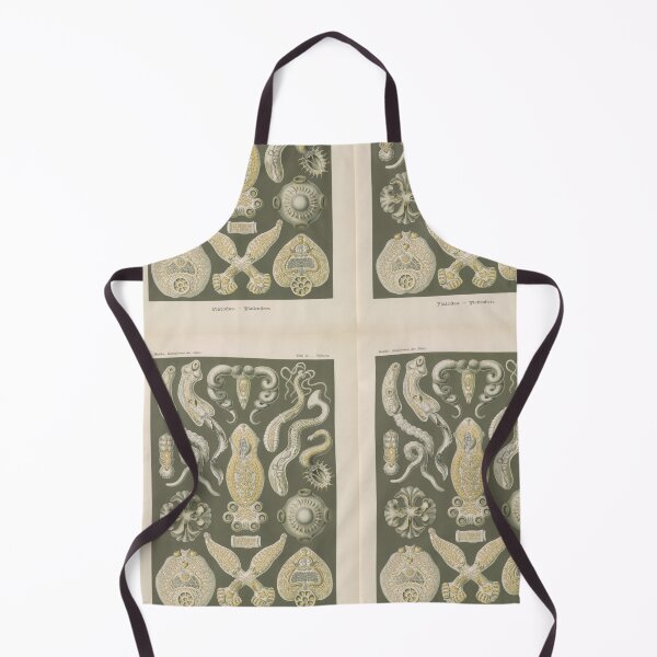 Item preview, Platodes Plattentiere Ernst Haeckel designed and sold by TeeARTHY.