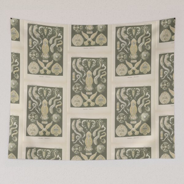 Item preview, Platodes Plattentiere  Ernst Haeckel designed and sold by TeeARTHY.
