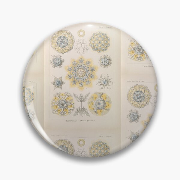 Item preview, Polycyttaria Vereins-Strahlinge  rnst Haeckel designed and sold by TeeARTHY.