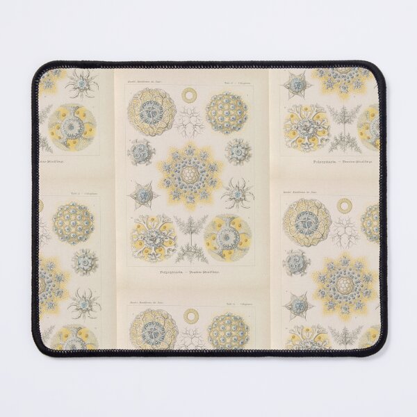 Item preview, Polycyttaria Vereins-Strahlinge rnst Haeckel designed and sold by TeeARTHY.