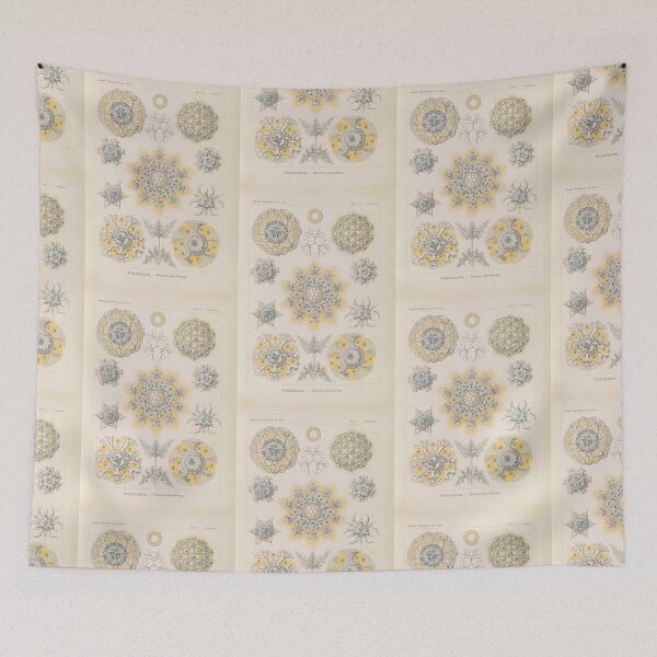 Item preview, Polycyttaria Vereins-Strahlinge  rnst Haeckel designed and sold by TeeARTHY.