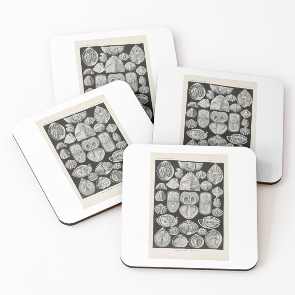 Item preview, Spirobranchia Spiralkiemer  Ernst Haeckel designed and sold by TeeARTHY.