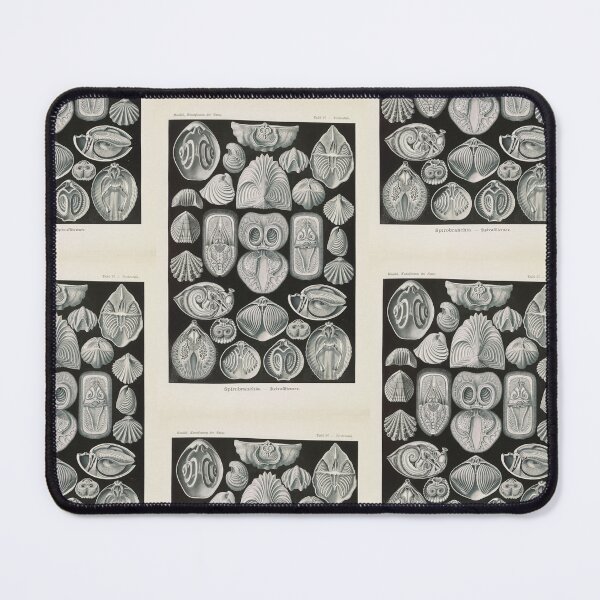 Item preview, Spirobranchia Spiralkiemer  Ernst Haeckel designed and sold by TeeARTHY.