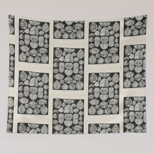 Item preview, Spirobranchia Spiralkiemer  Ernst Haeckel designed and sold by TeeARTHY.