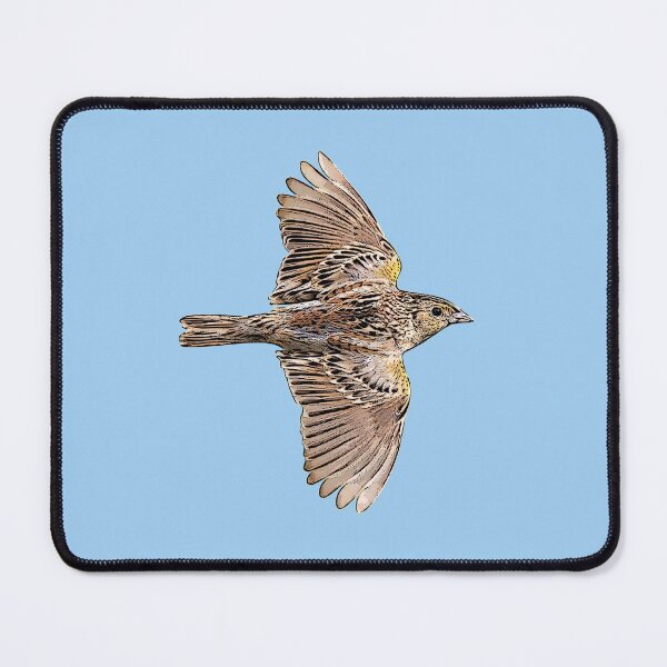Item preview, Grasshopper Sparrow Black Alternate Design  designed and sold by designsasstultd.