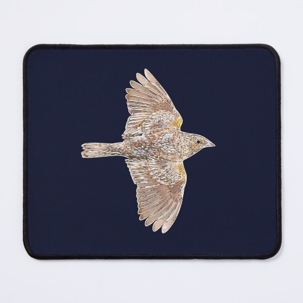 Item preview, Grasshopper Sparrow White Alternate Design  designed and sold by designsasstultd.