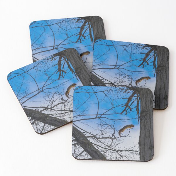 Item preview, Leap Of Faith designed and sold by Split2ndPhotos.
