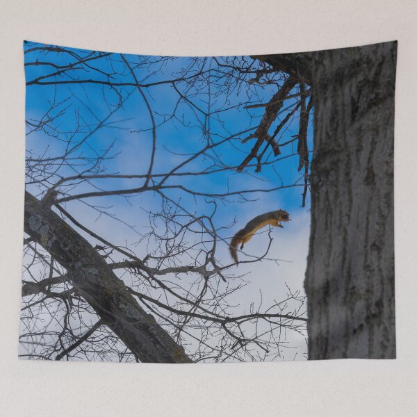 Item preview, Leap Of Faith designed and sold by Split2ndPhotos.